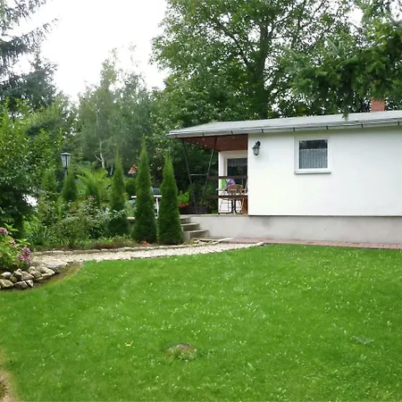 Idyllic In Neinstedt Near Forest Thale