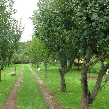 Idyllic In Neinstedt Near Forest Thale